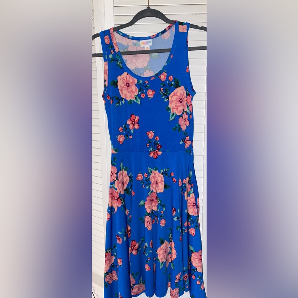 Gently used LulaRoe Nicki Dress